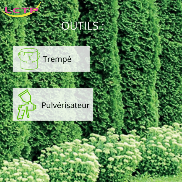 PEINTURE POUR PLANTE spéciale thuyas buis et gazon – Image 4