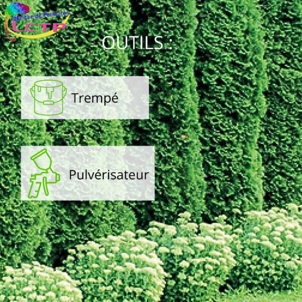 Outils à utiliser avec le pot de peinture ABY végétal peinture pour plantes et thuyas secs. Redonne une teinte verte homogène en attendant le remplacement des végétaux morts.