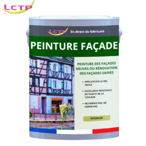 PEINTURE FACADE SAINE spéciale rénovation