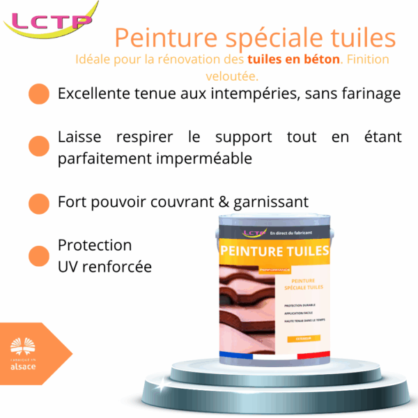 PEINTURE TUILE - Spéciale rénovation toiture – Image 2
