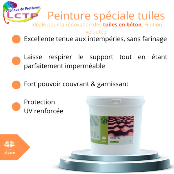 PEINTURE TUILE - Spéciale rénovation toiture – Image 2