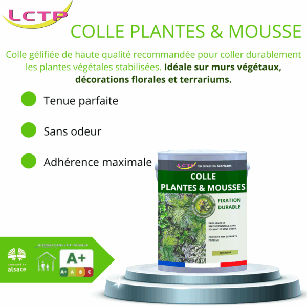 COLLE FORTE spéciale plantes stabilisées – Image 2