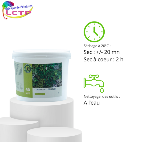 Informations techniques pour la colle professionnelle plantes et mousse pour végétaux stabilisés et décorations végétales.