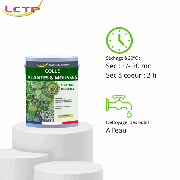 COLLE FORTE spéciale plantes stabilisées – Image 3